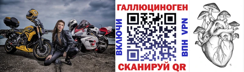 Галлюциногенные грибы Psilocybe  Купить где  Зима 